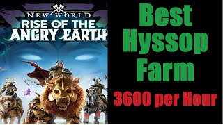 New World Best Hyssop Farm  3600 per Hour Garlic Basil Tarragon  English Detailed Steps 2023 [upl. by Janenna468]