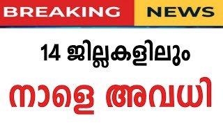 നാളെ അവധി പ്രഖ്യാപിച്ചുസ്കൂൾ അവധി School Holiday News School Edu നാളെ അവധി ms [upl. by Raji341]