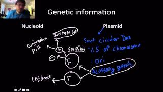 Microbiology Bacterial Cell Structure and function 1 [upl. by Anyak]