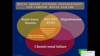 Ultrasound Assessment of Native Renal Vessels [upl. by Berlauda]