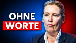 Jetzt geht es der AfD an den Kragen [upl. by Kristyn810]