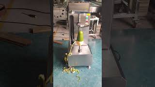 MNSXP200 Fruit Peeler wwwmenasenmachinerycom [upl. by Ahsitil279]