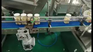 Chrysanthemum tea filling machine sealing machine capping machineFloc filling machine [upl. by Malti536]