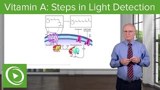 Vitamin A Steps in Light Detection – Biochemistry  Lecturio [upl. by Phylys]