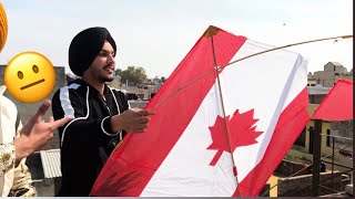 Kites Flying on Basant 2  BIR RAMGARHIA [upl. by Ahsita]