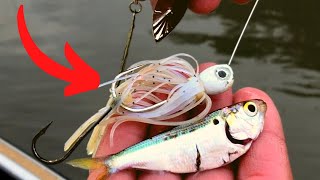 STOP Fishing SPINNERBAITS Like This 5 Spinnerbait Mistakes [upl. by Inneg523]