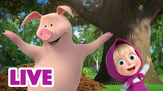 🔴 ПРЯМОЙ ЭФИР LIVE Маша и Медведь 👱‍♀️🐻 Тут нужна смекалочка😁🐷 [upl. by Cromwell]