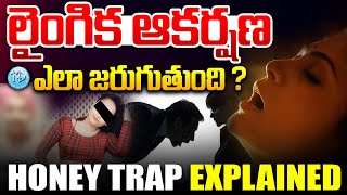 AP Vishaka Honey Trap Expained Telugu  🚨BIG AlERT 🚨  లైంగిక ఆకర్షణను ఎలా జరుగుతుంది [upl. by Ynohtnaleahcim]