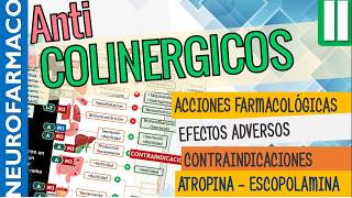 Antimuscarínicos EFECTOS SISTÉMICOS ACCIÓN FARMACOLÓGICA Naturales ATROPINA ESCOPOLAMINA Parte2 [upl. by Fields109]