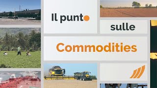 Il punto sulle commodities 2 aprile 2024 [upl. by Erhard]