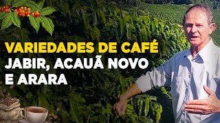 SAIBA TUDO SOBRE AS VARIEDADES DE CAFÉ JABIR ACAUÃ NOVO E ARARA [upl. by Tiny]