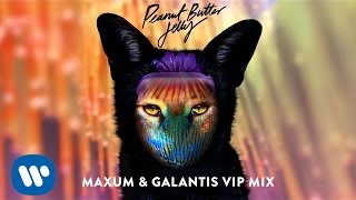 Galantis  Peanut Butter Jelly Maxum amp Galantis VIP Remix [upl. by Iborian]