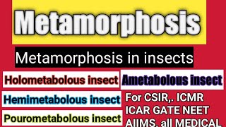 Metamorphosis  metamorphosis in insects types of metamorphosis hemimetabolous Ametabolous [upl. by Neomah]