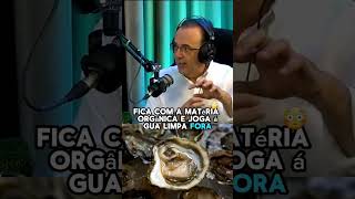 CUIDADO AO COMER PALMITO E OSTRAS podcast saude palmito ostras saudavel shorts fyp short fy [upl. by Eimmit]