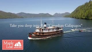 Stunning Aerial Footage Haida Gwaii BC Gwaii Haanas Windy Bay amp Classic BC Ships [upl. by Arahsak346]