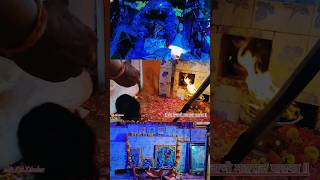 वीर तेजाजी महाराज पालका ll veer tejaji Maharaj palka ll livevideo photogarphy Dkdhaker [upl. by Lotsyrc]