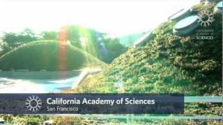 Travel to California Academy of Sciences [upl. by Nwahsiek]