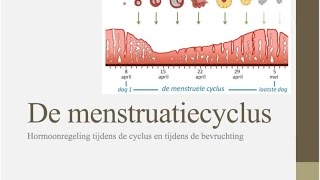 De menstruatiecyclus [upl. by Vinia]