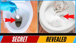 How to Clean A Toilet With Vinegar and Baking Soda  This is Amazing [upl. by Bocaj810]