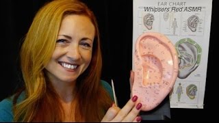 ASMR Auriculotherapy Role Play  Ear SeedsEar CleaningClose UpBinaural [upl. by Aduhey180]