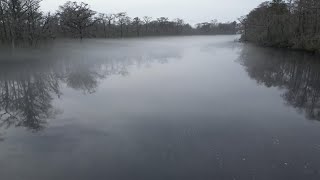 Low Fog on Tranters Creek December 2 2023 [upl. by Nosylla]