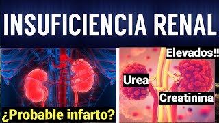 INSUFICIENCIA RENAL AGUDA Y CRÓNICA  Fisiopatología Síntomas y Tratamiento [upl. by Llebiram]