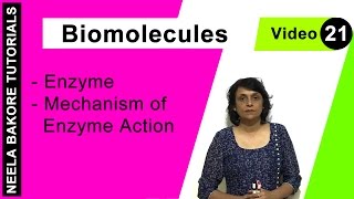 Biomolecules  NEET  Enzyme  Mechanism of Enzyme Action  Neela Bakore Tutorials [upl. by Elena327]