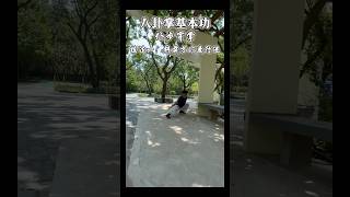 八卦掌基本功仆步穿掌，两种不同练法展示 中华武术 八卦掌 传统文化 传统武术 运动 健身 travel 武术 基本功 因为热爱所以坚持 [upl. by Annim113]