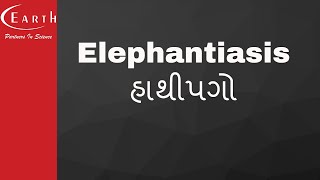 Elephantiasis  હાથીપગો  Human Health and Diseases  11th science biology [upl. by Llenral]