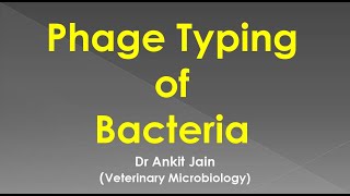 Phage Typing of Bacteria [upl. by Armitage543]