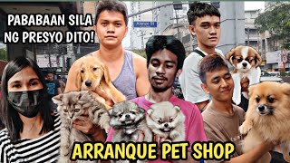 ARRANQUE PET SHOP LATES PRICE UPDATE  MGA MURANG PERSIAN CAT AT CROSS BREED PUPPIES [upl. by Wright]