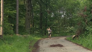 Bussard attackiert Jogger  Landesschau BadenWürttemberg [upl. by Faustine211]