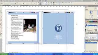 InDesign  Importation PDF [upl. by Ahsenor]