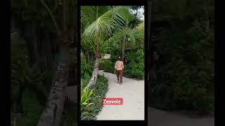 Zeavola Resort ampSpaPhi Phi Island [upl. by Bigford]