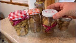 The TRADITIONAL GERMAN and MENNONITE CHRISTMAS cookiePfeffernusse [upl. by Etteb]