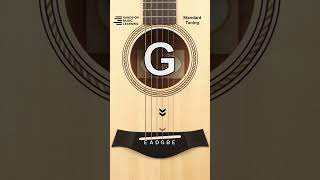 EASY Online Guitar Tuner [upl. by Agustin]