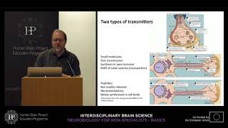 Lecture 1 Christoph Schwarzer  Intercellular signal transduction [upl. by Esor]