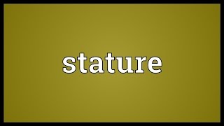 Stature Meaning [upl. by Nnyletak]