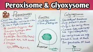 Peroxisome amp Glyoxysomes  Lectures of class 11th in UrduHindi  Jiyas Biology Tutorials [upl. by Eshelman804]