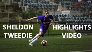 SHELDON TWEEDIE HIGHLIGHTS VIDEO 2017 [upl. by Nauaj]