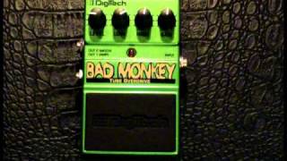 Digitech Bad Monkey [upl. by Darce]