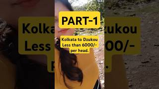 Kolkata to Dzukou Valley trek less than 6000 per personFull Itinerary 6 peopleBudget tour [upl. by Rusticus]