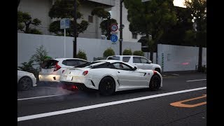 都内で１億円超のFerrari 599GTOがバーンアウト 599GTO Burnout in Tokyo [upl. by Ayotnahs125]