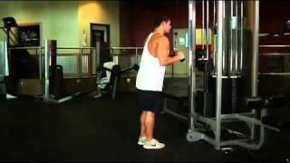 Triceps  Triceps Pushdown  VBar Attachment Exercise Guide [upl. by Yemiaj305]