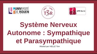 Physiologie Le SNA Sympathique et Parasympathique [upl. by Thordia654]