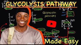 Glycolysis Explained Key steps Enzymes and Importance in cellular Respiration  MADE EASY [upl. by Lucilia47]