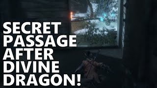 Secret Passage After Divine Dragon Shume Masaji Oniwa Guide Seven Spears Sekiro 55 [upl. by Nerot184]