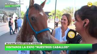 Visitamos la expo quotNuestros caballosquot en La Rural │ HNT con Nacho Goano │ 280224 [upl. by Uzziel]