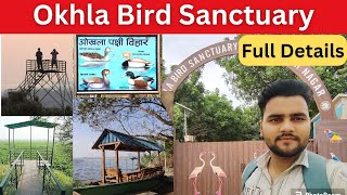 Okhla Bird Sanctuary  Okhla bird sanctuary for couples  Okhla bird sanctuary vlog birdsanctuary [upl. by Sifan]