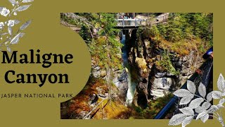 Maligne Canyon on summer time [upl. by Suhpesoj]